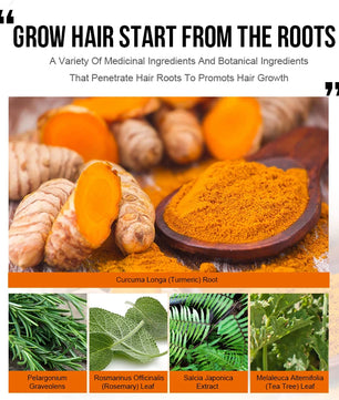 PURC Ginger Hair Growth Oil Fast Hair Loss Treatment Smoothing Repair